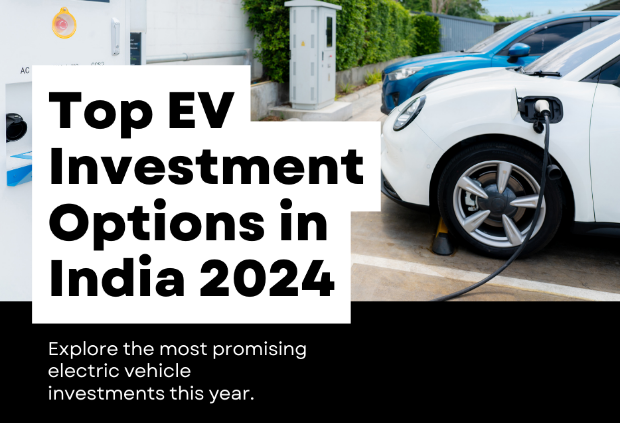 EV Investment Options